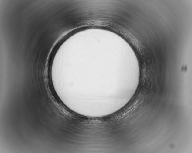 X0000103500784200810031627