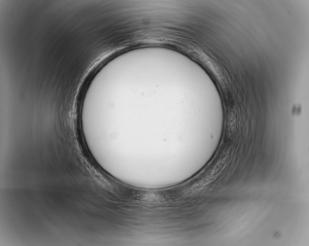 X0000103500787200810031627