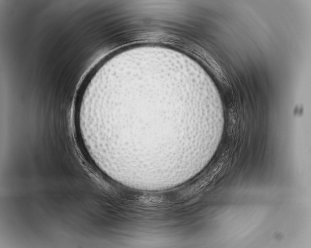 X0000103500788200810031627