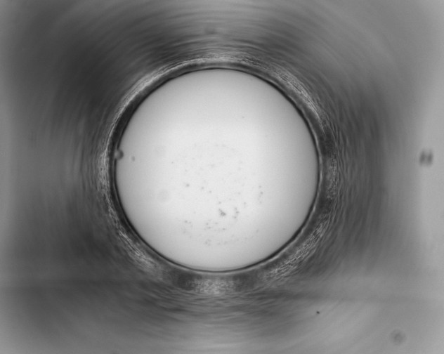 X0000103500789200810031627