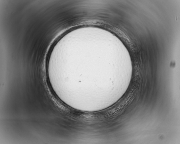 X0000103500792200810031627