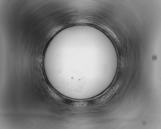 X0000103500793200810031627