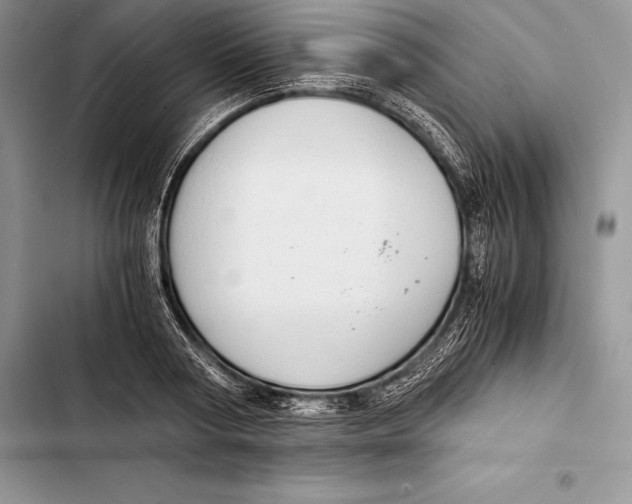 X0000103500794200810031627