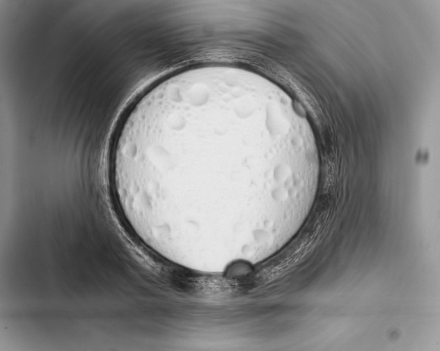 X0000103500795200810031627