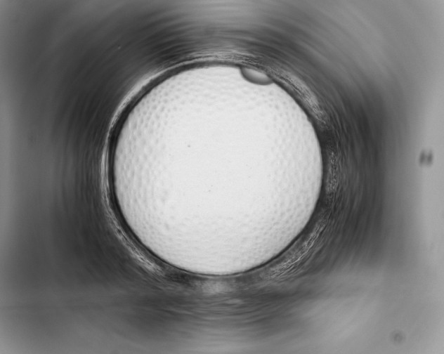 X0000103500796200810031627