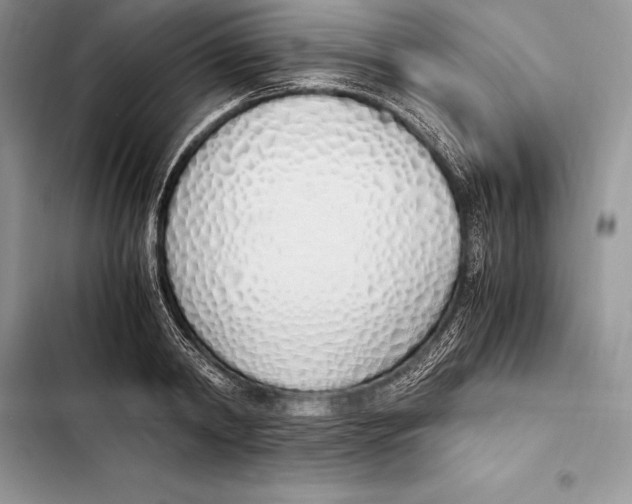 X0000103500798200810031627