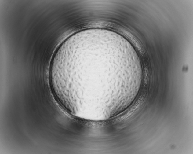 X0000103500802200810031627