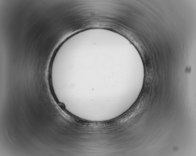 X0000103500803200810031627