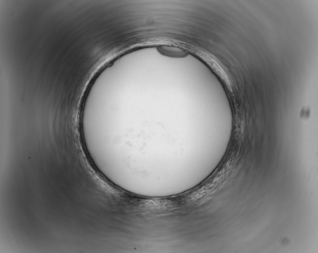 X0000103500805200810031627