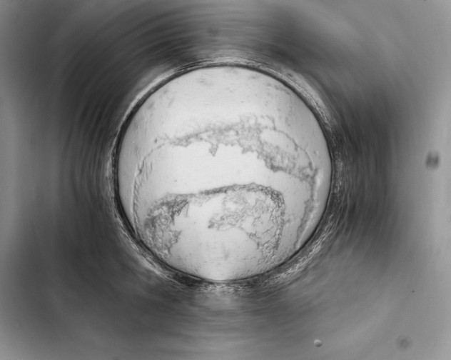 X0000103500806200810031627