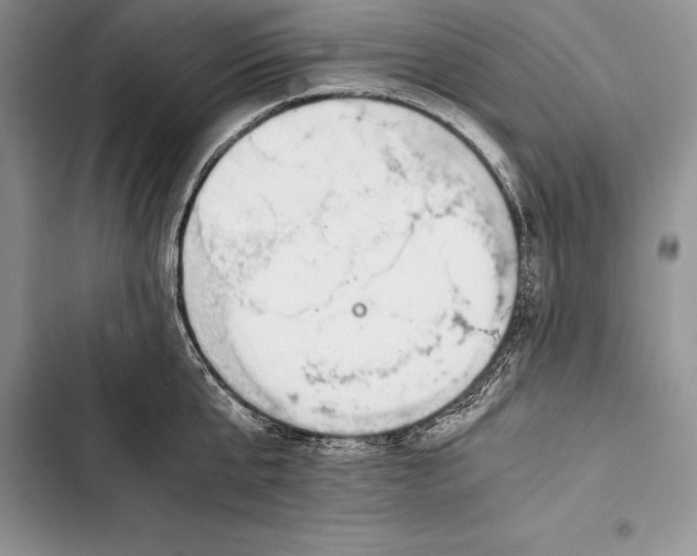 X0000103500807200810031627