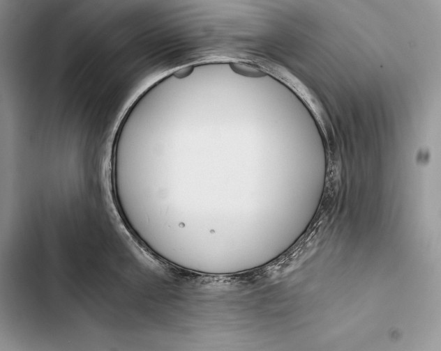 X0000103500811200810031627