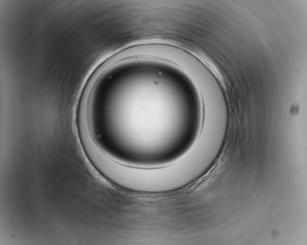 X0000103500813200810031627