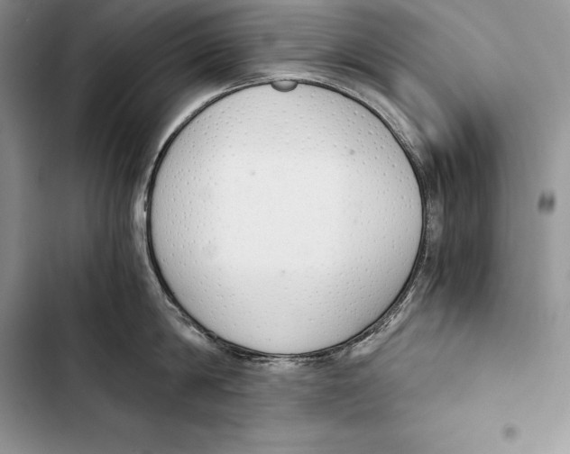 X0000103500814200810031627