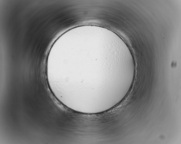 X0000103500816200810031627