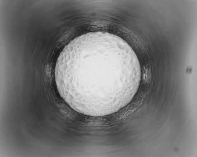 X0000103500819200810031626