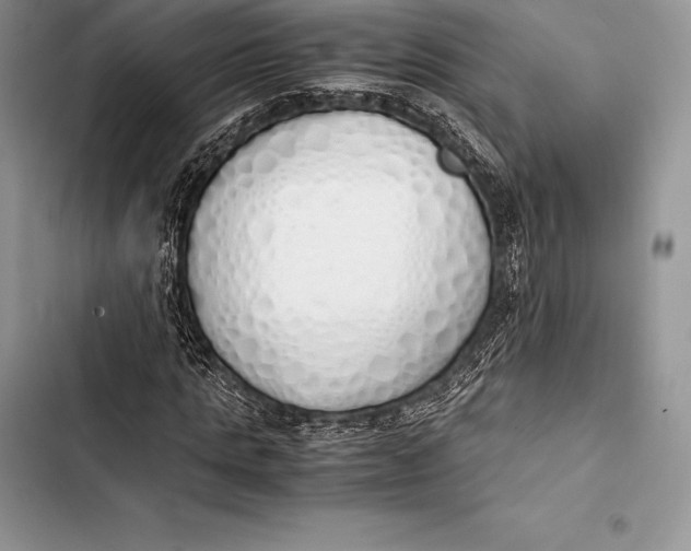 X0000103500821200810031626