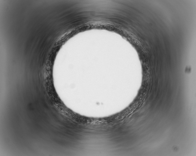 X0000103500824200810031626