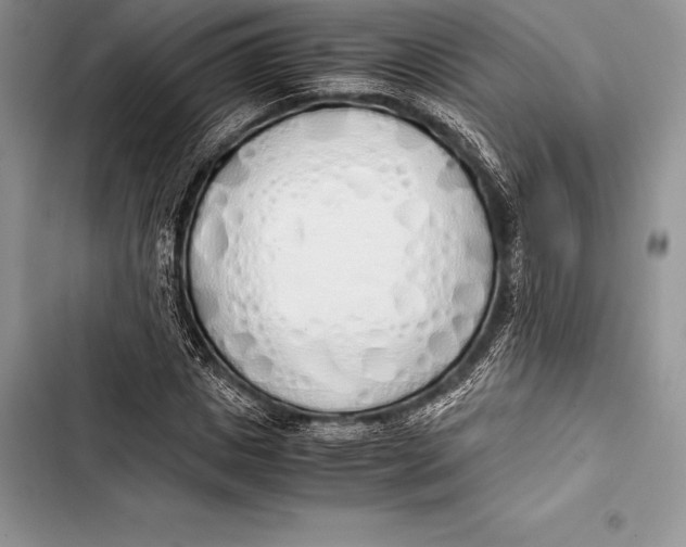 X0000103500825200810031626