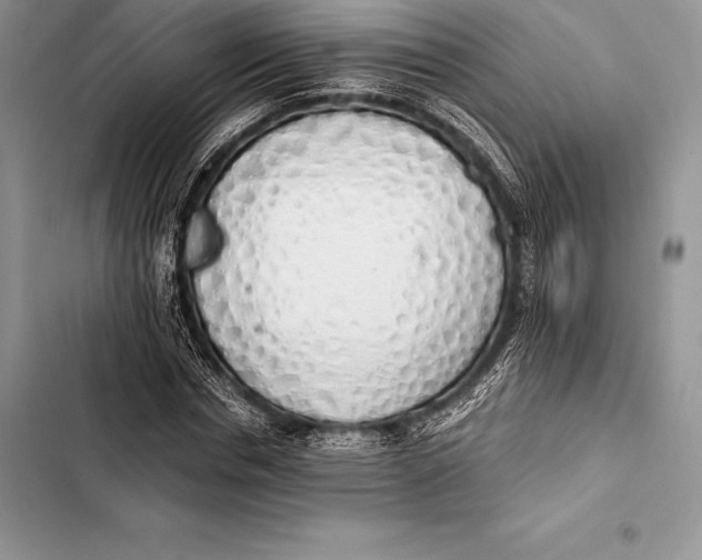 X0000103500826200810031626