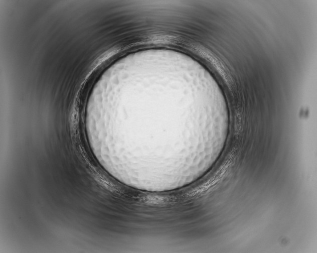 X0000103500827200810031626