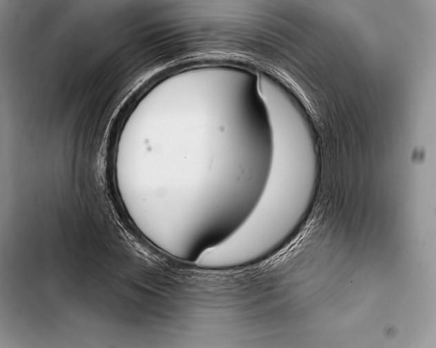 X0000103500828200810031626