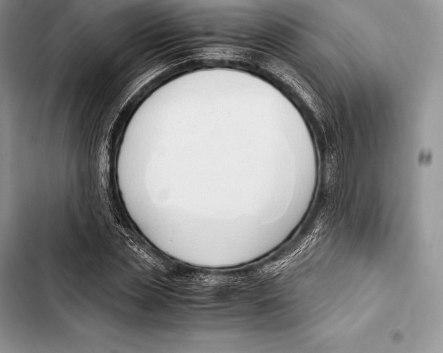 X0000103500829200810031626