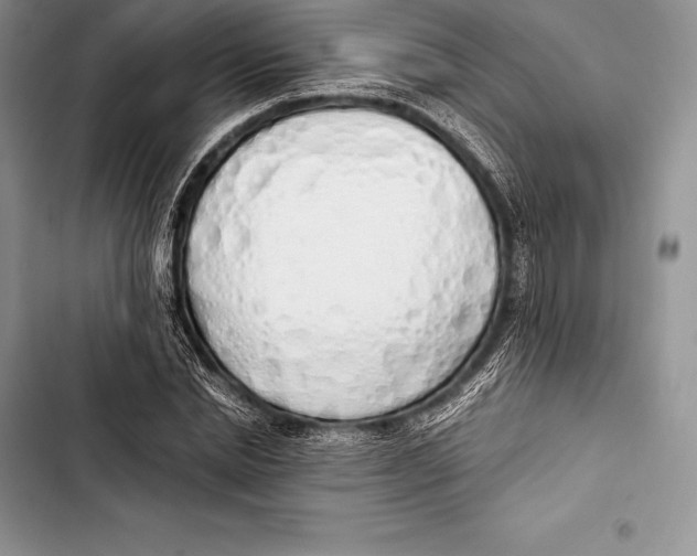 X0000103500830200810031626