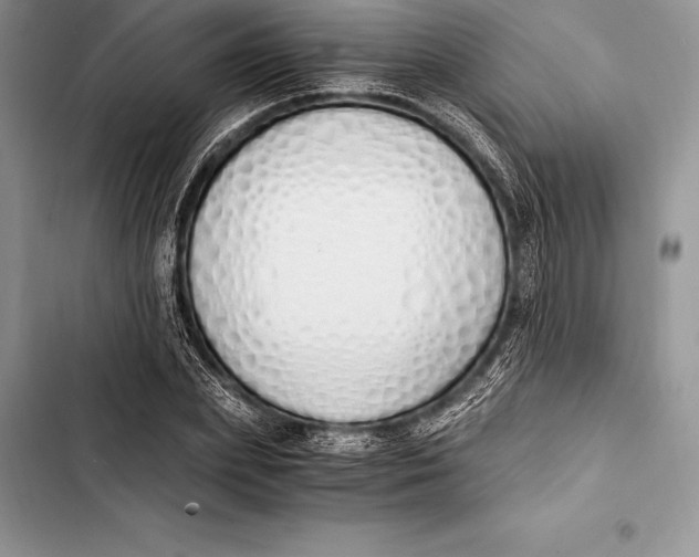 X0000103500831200810031626