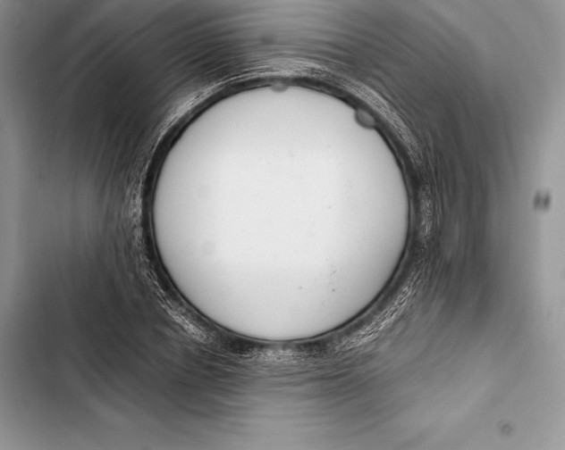 X0000103500834200810031626