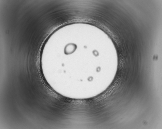 X0000103500836200810031626