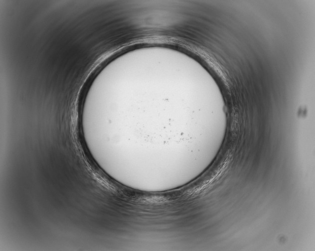 X0000103500837200810031626