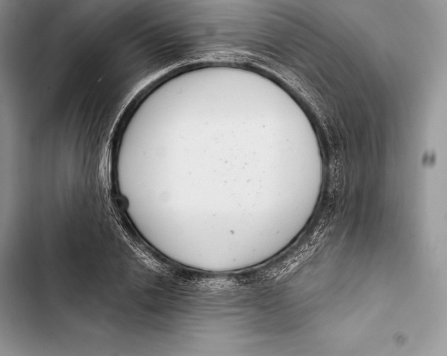 X0000103500838200810031626