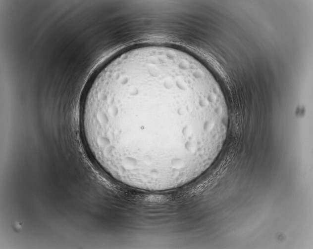 X0000103500839200810031626