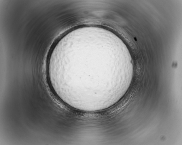 X0000103500840200810031626