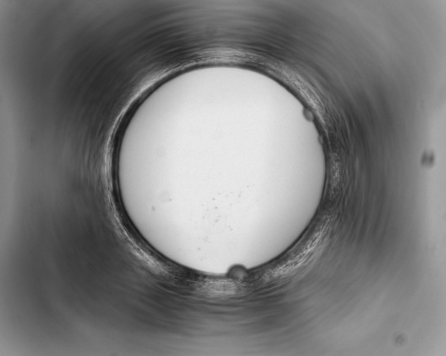 X0000103500843200810031626