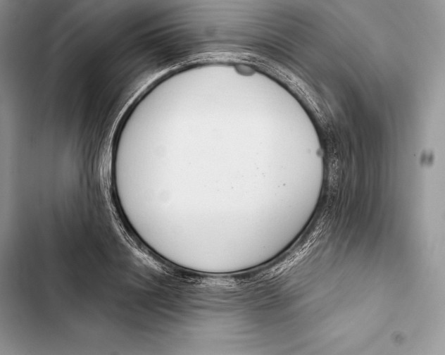 X0000103500844200810031626