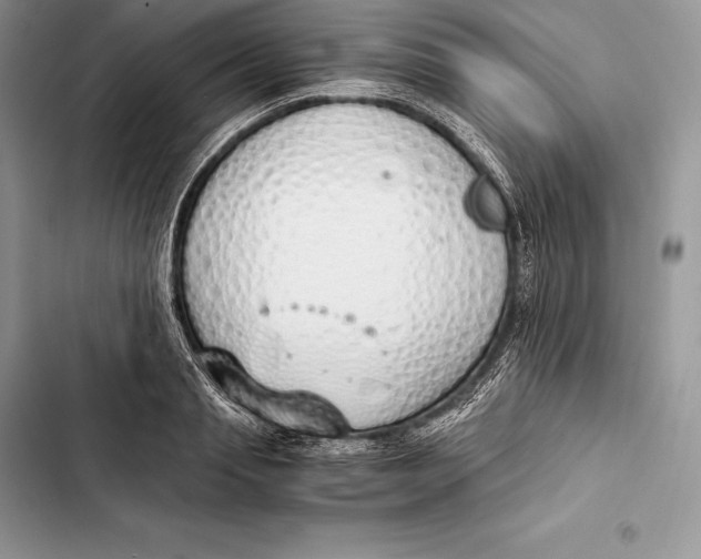 X0000103500845200810031626