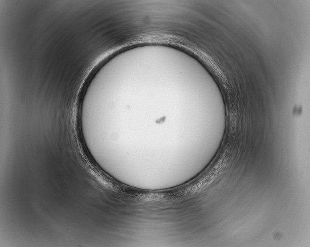 X0000103500846200810031626