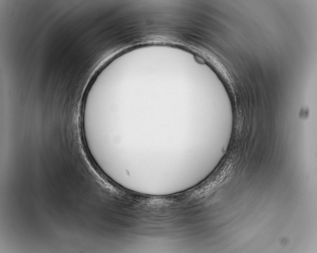 X0000103500847200810031626