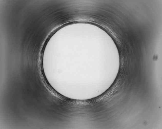 X0000103500848200810031626