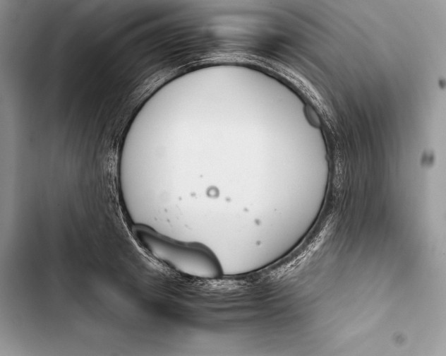 X0000103500849200810031626