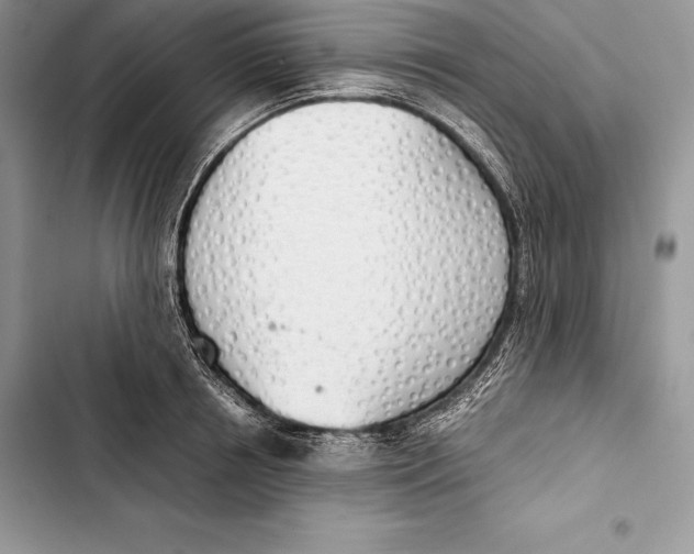 X0000103500850200810031626