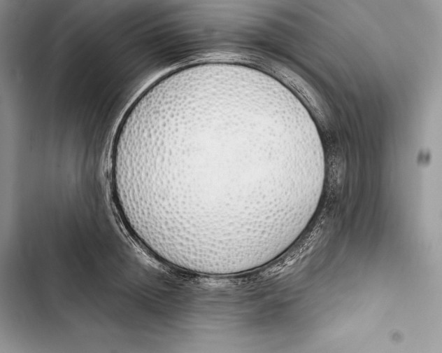 X0000103500852200810031626