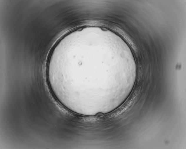 X0000103500853200810031626