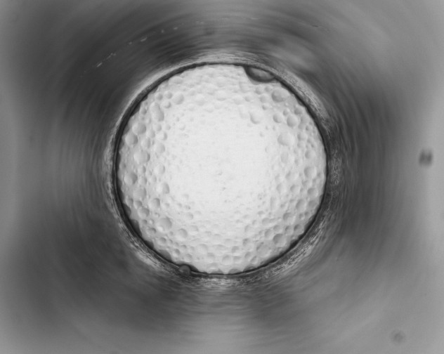 X0000103500854200810031626