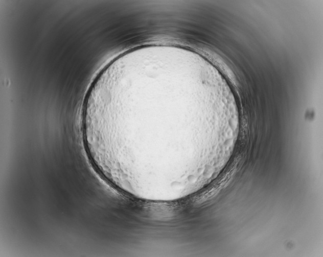 X0000103500855200810031626