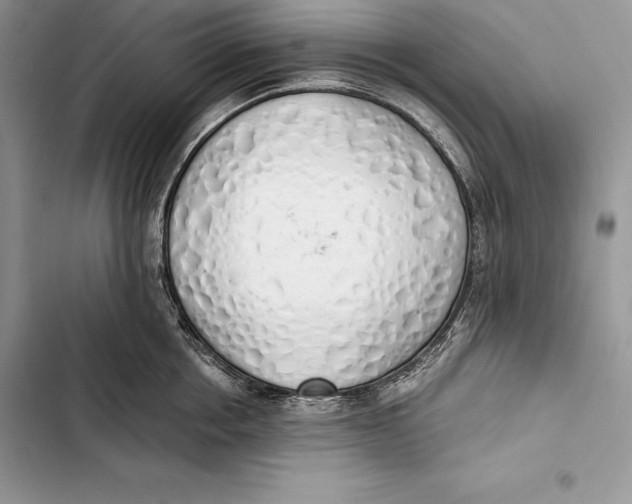 X0000103500858200810031627