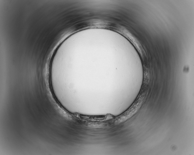 X0000103500859200810031627