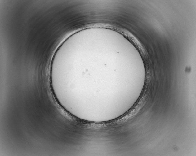 X0000103500860200810031627